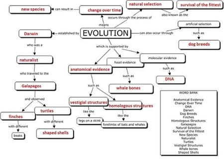 You can look at evolution through 2 lens