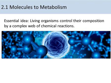 2.1 Molecules to Metabolism