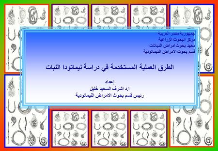 الطرق العملية المستخدمة في دراسة نيماتودا النبات