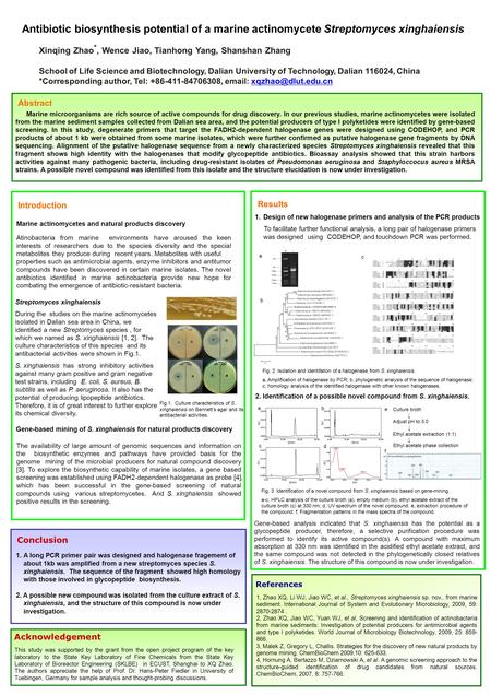 Conclusion Abstract Marine microorganisms are rich source of active compounds for drug discovery. In our previous studies, marine actinomycetes were isolated.