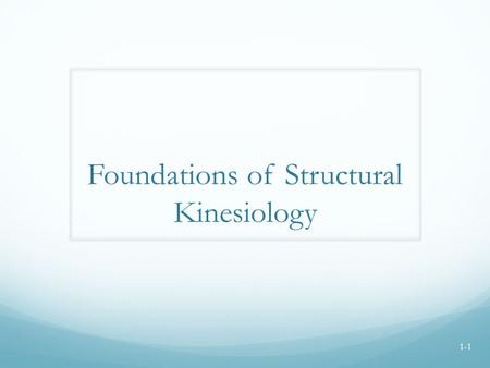 Foundations of Structural Kinesiology