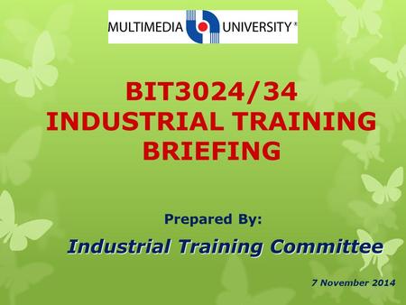 BIT3024/34 INDUSTRIAL TRAINING BRIEFING