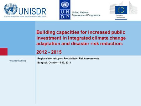 United Nations Development Programme