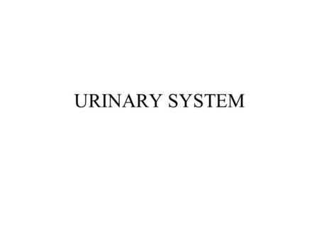 URINARY SYSTEM. KIDNEY STRUCTURE CAPSULE – CORTEX – MEDULLA The cortex is characterized by renal corpuscles and their tubules The medullary ray is an.