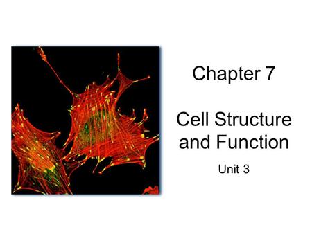 Chapter 7 Cell Structure and Function