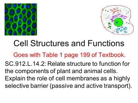 Cell Structures and Functions