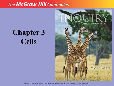 Copyright © The McGraw-Hill Companies, Inc. Permission required for reproduction or display. Chapter 3 Cells.