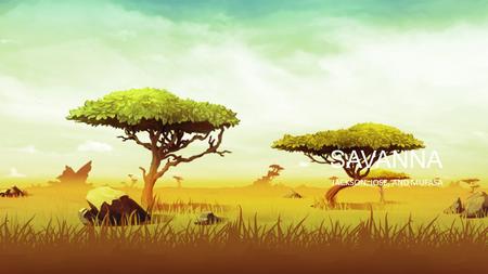 SAVANNA JACKSON, JOSE, AND MUFASA. WHERE IS IT Savannas are located on every continent but are mainly found in Africa. Savannas can be found between deserts.