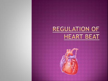 2  SAN sets heart rate at beats per minute  Nerves act as  Vagus nerve  Sympathetic nerve about 120 brake and accelerator slows heart rate speeds.