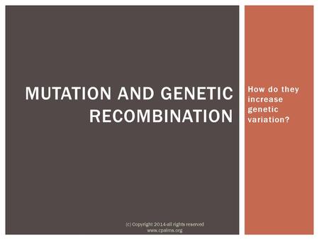 How do they increase genetic variation? MUTATION AND GENETIC RECOMBINATION (c) Copyright 2014-all rights reserved www.cpalms.org.