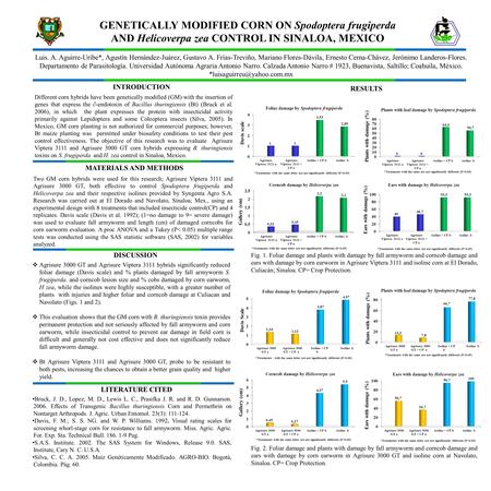 GENETICALLY MODIFIED CORN ON Spodoptera frugiperda AND Helicoverpa zea CONTROL IN SINALOA, MEXICO Luis. A. Aguirre-Uribe*, Agustín Hernández-Juárez, Gustavo.