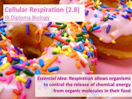 Cellular Respiration (2.8)