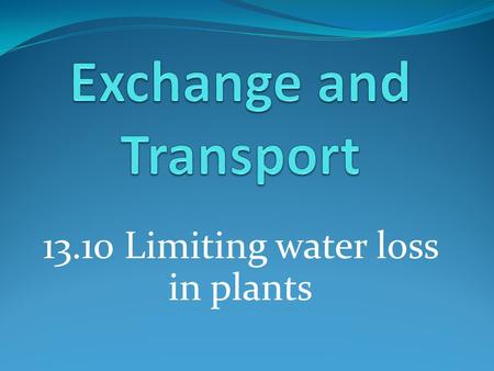 Exchange and Transport