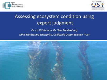 Assessing ecosystem condition using expert judgment Dr. Liz Whiteman, Dr. Tess Freidenburg MPA Monitoring Enterprise, California Ocean Science Trust.