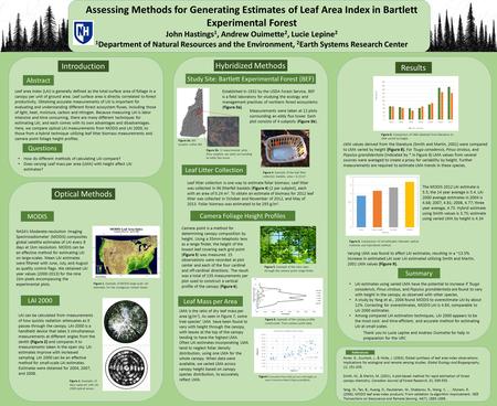 Questions How do different methods of calculating LAI compare? Does varying Leaf mass per area (LMA) with height affect LAI estimates? LAI can be calculated.