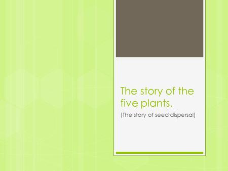 The story of the five plants. (The story of seed dispersal)