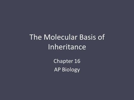 The Molecular Basis of Inheritance