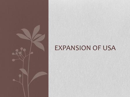 EXPANSION OF USA. Expansion of the United States (1800-1850) Louisiana Territory 2 Party Politics Missouri Compromise Monroe Doctrine Trail of Tears Manifest.