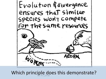 Which principle does this demonstrate?