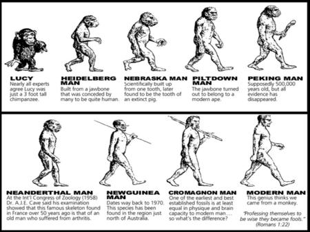 EVOLUTION. EVOLUTION The first living organisms were simple, single celled organisms. Through time more complex simple- celled creatures were created.