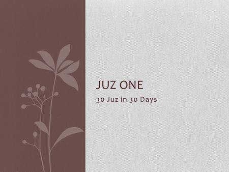 30 Juz in 30 Days JUZ ONE Class Outline Class etiquettes Taking notes Introduction to the Surah/Juz Tafseer Recitation Reflections/Lessons Learned Recordings.