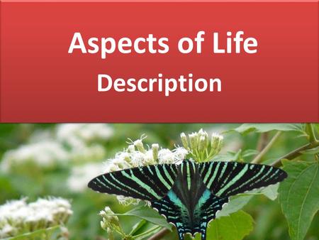 Aspects of Life Description. LOCATION The location of an individual decides everything of life. The person located at his own place is most comfortable.