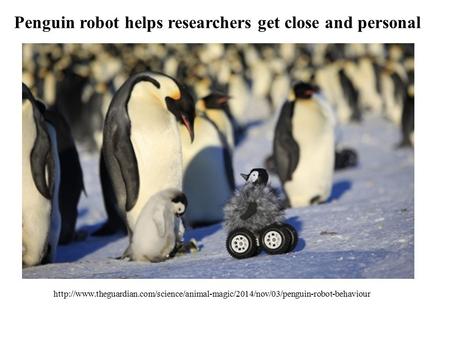 Penguin robot helps researchers get close and personal