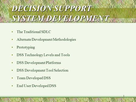 DECISION SUPPORT SYSTEM DEVELOPMENT