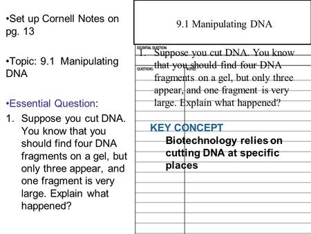 Set up Cornell Notes on pg. 13