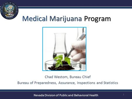 Medical Marijuana Program