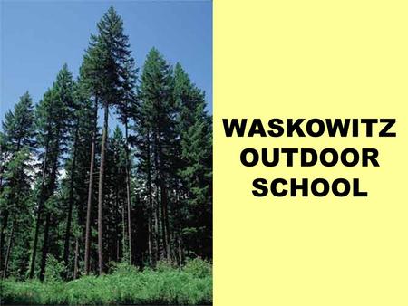 WASKOWITZ OUTDOOR SCHOOL