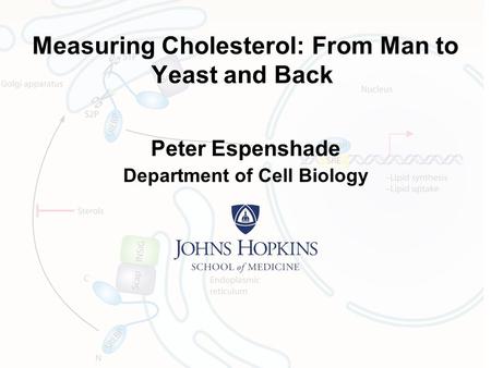 Measuring Cholesterol: From Man to Yeast and Back