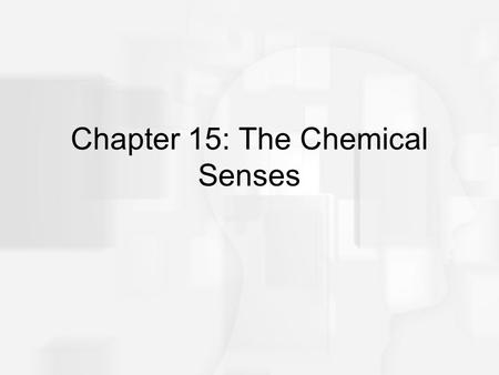 Chapter 15: The Chemical Senses