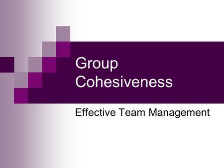 Effective Team Management