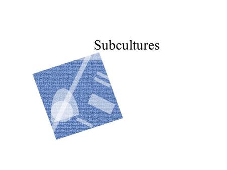 Subcultures. What is a Subculture? A distinct cultural group that exists as an identifiable segment within a larger, more complex society. A homogeneous.