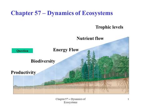 Chapter 57 -- Dynamics of Ecosystems 1 Chapter 57 – Dynamics of Ecosystems Trophic levels Nutrient flow Energy Flow Biodiversity Productivity Question.