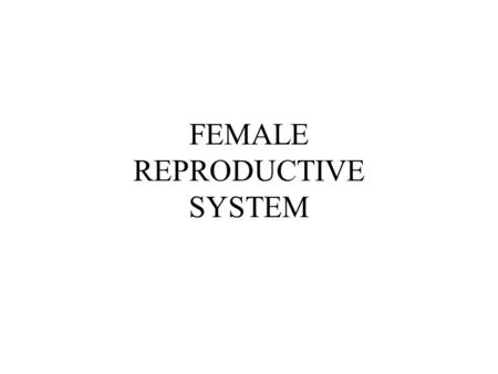 FEMALE REPRODUCTIVE SYSTEM