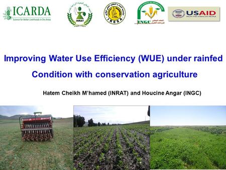 Improving Water Use Efficiency (WUE) under rainfed Condition with conservation agriculture Hatem Cheikh M’hamed (INRAT) and Houcine Angar (INGC)