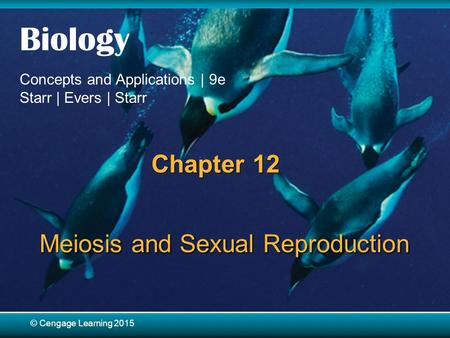 Meiosis and Sexual Reproduction