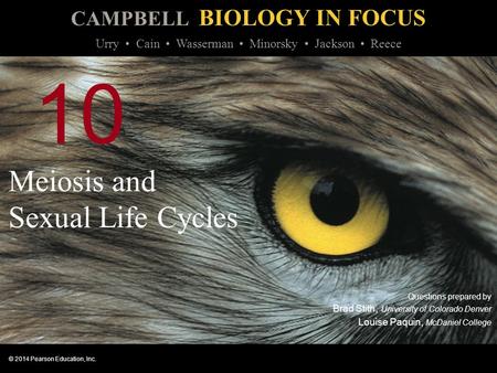 Meiosis and Sexual Life Cycles