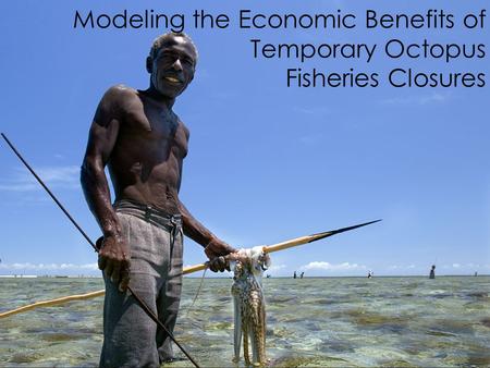 Temporary Octopus Fishery Closures SW Madagascar Modeling the Economic Benefits of Temporary Octopus Fisheries Closures.