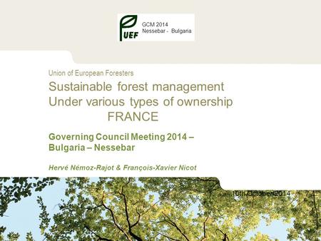 Sustainable forest management under various types of ownership - France GCM 2014 Nessebar - Bulgaria 1 Union of European Foresters Sustainable forest management.