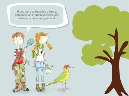 If you were to describe a tree to someone who had never seen one before, what would you say?