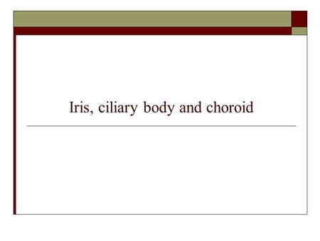 Iris, ciliary body and choroid. Iris  The iris lies in front of the lens and the ciliary body  It separates the anterior chamber from the posterior.