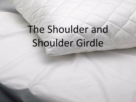 The Shoulder and Shoulder Girdle. PAINFUL SHOULDER SYNDROMES, IMPINGEMENT SYNDROMES: NONOPERATIVE MANAGEMENT Ghurki Trust Teaching Hospital.