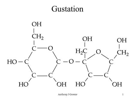 Gustation Anthony J Greene.