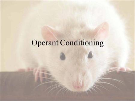 Operant Conditioning.