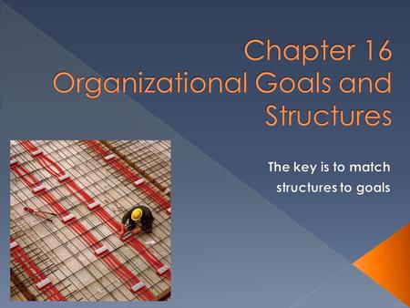 What are the different types of organizational goals? What are the hierarchical aspects of organizations? How is work organized and coordinated? What.