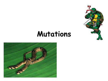 Mutations.