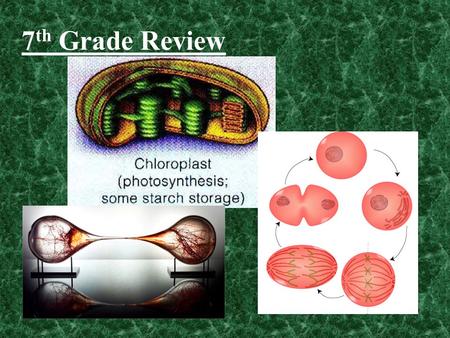 7th Grade Review.